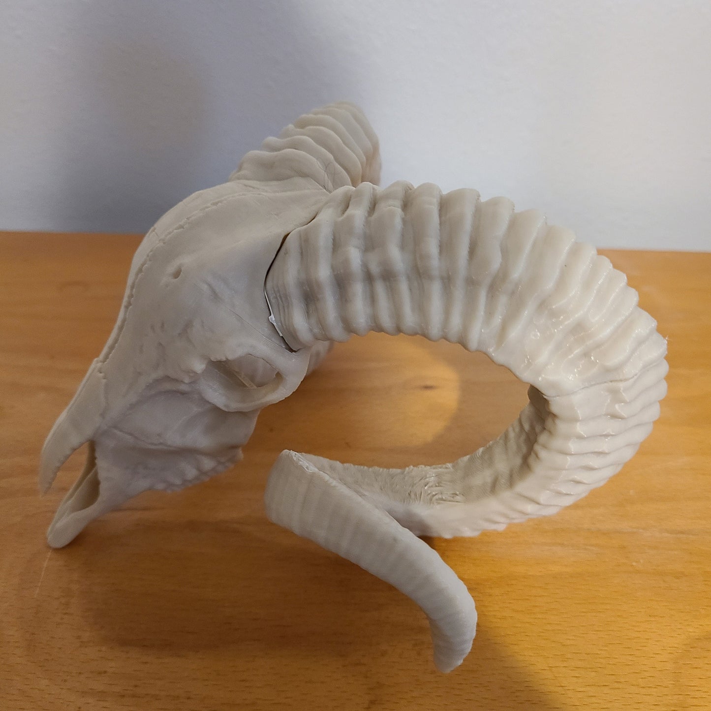 Ram skull