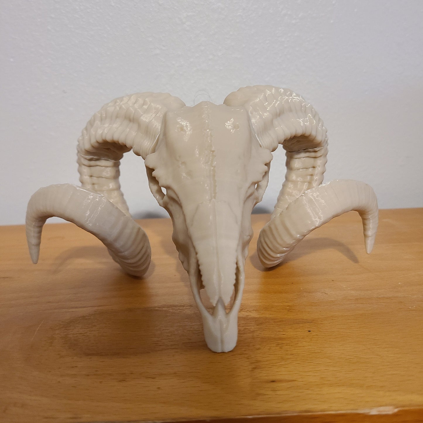 Ram skull