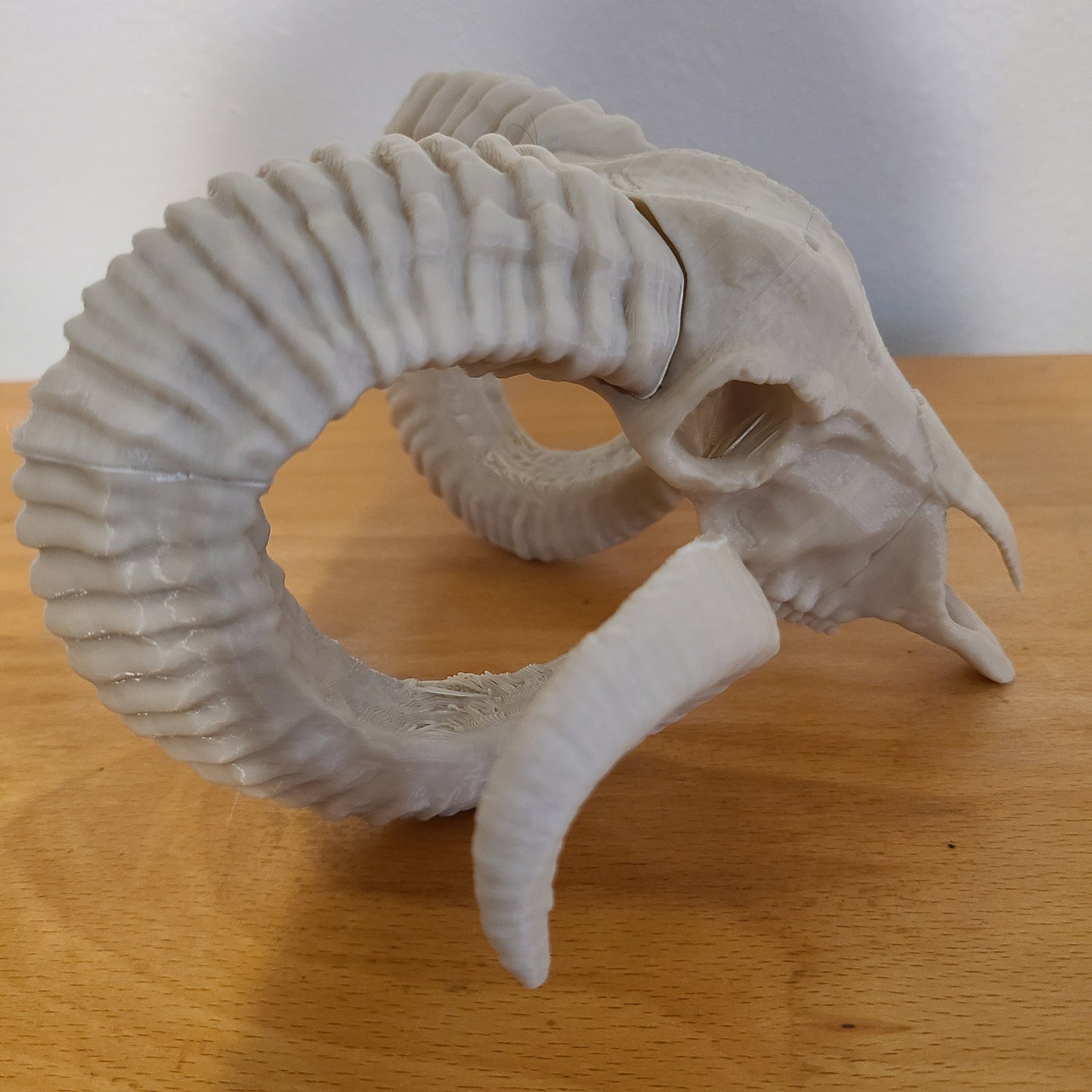 Ram skull