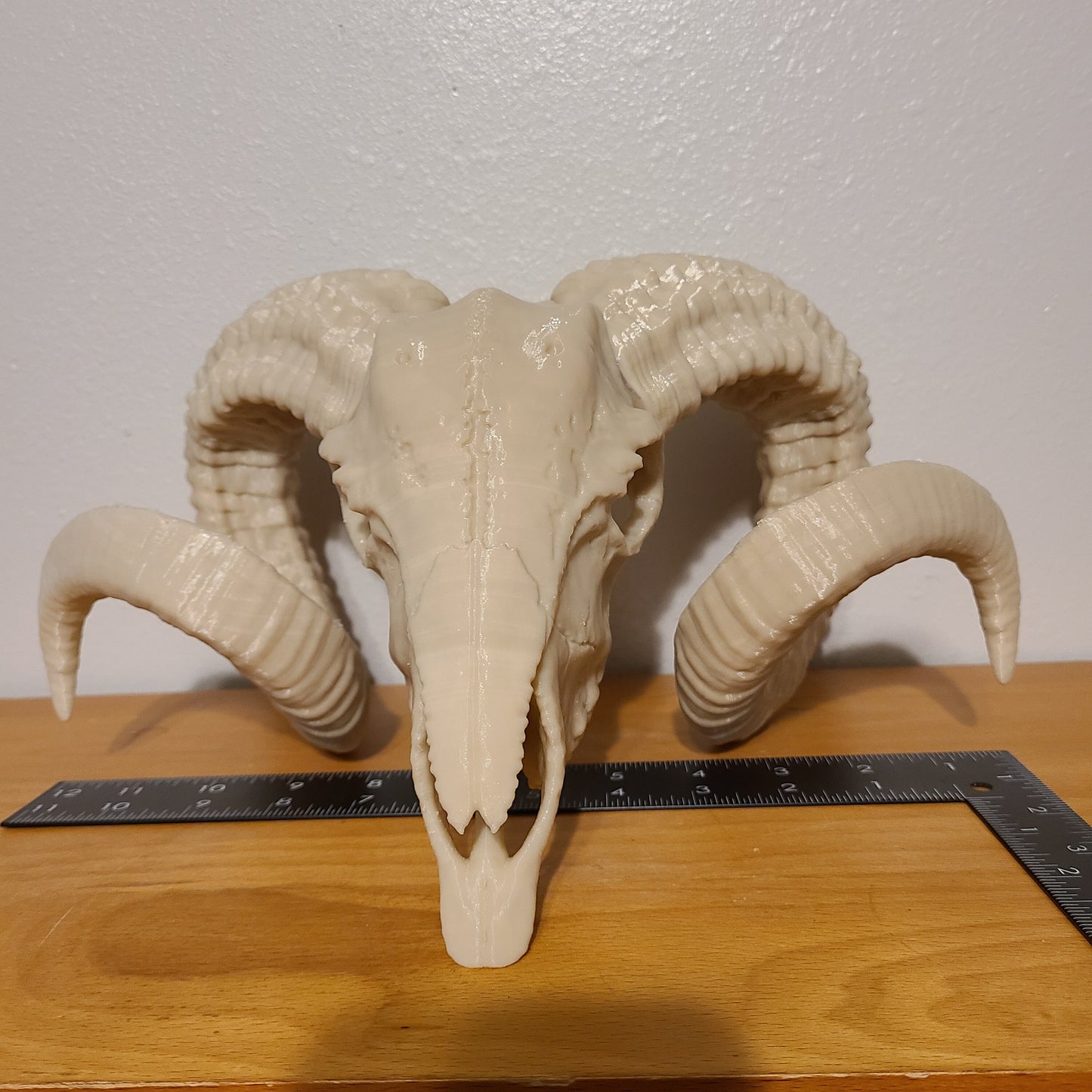 12 in Ram skulls