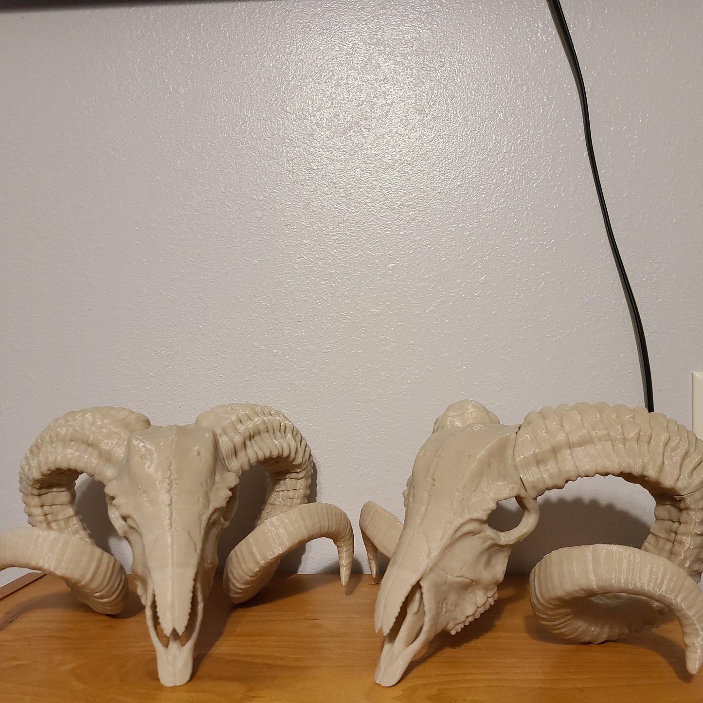 12 in Ram skulls