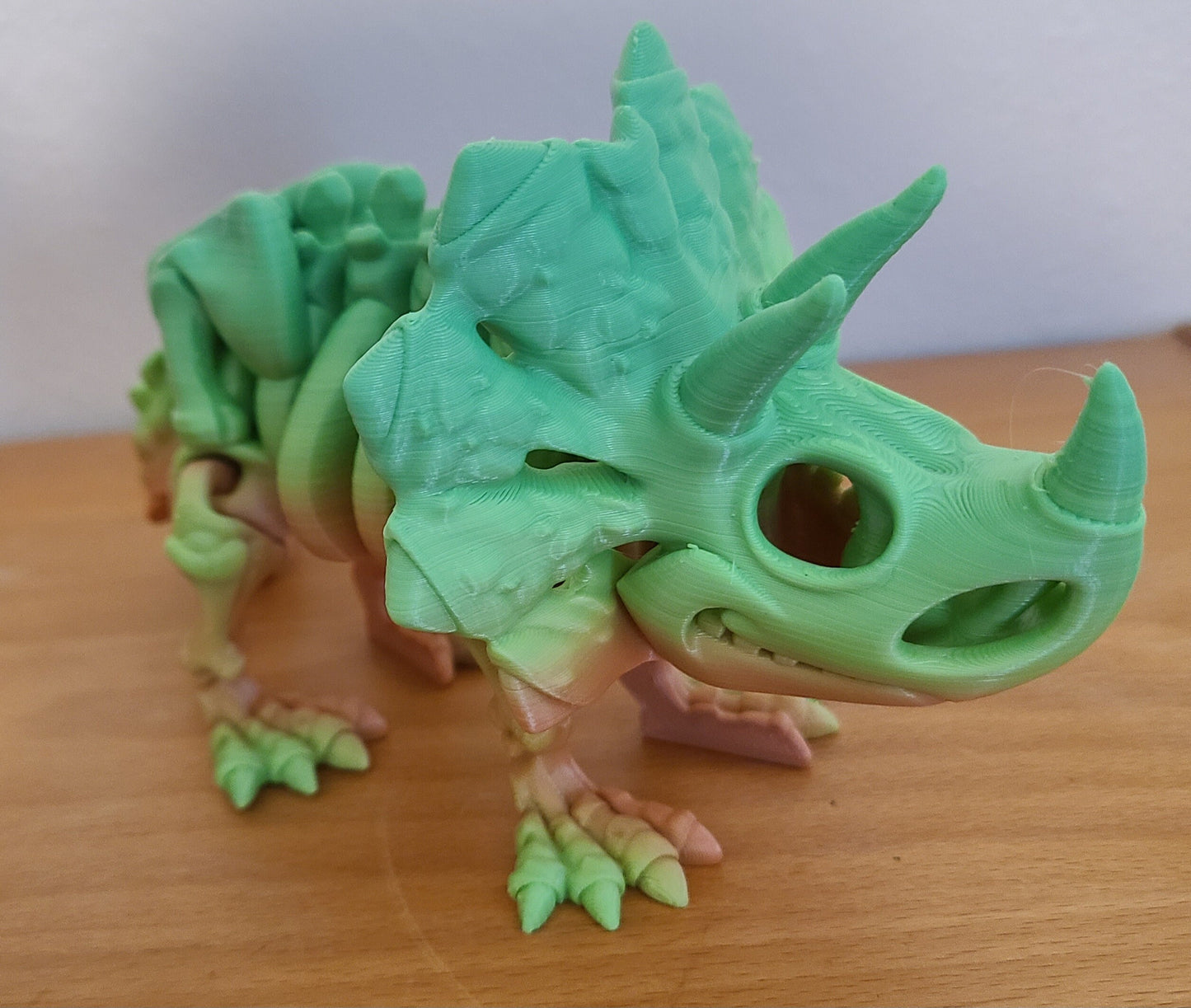 Flexi triceratops