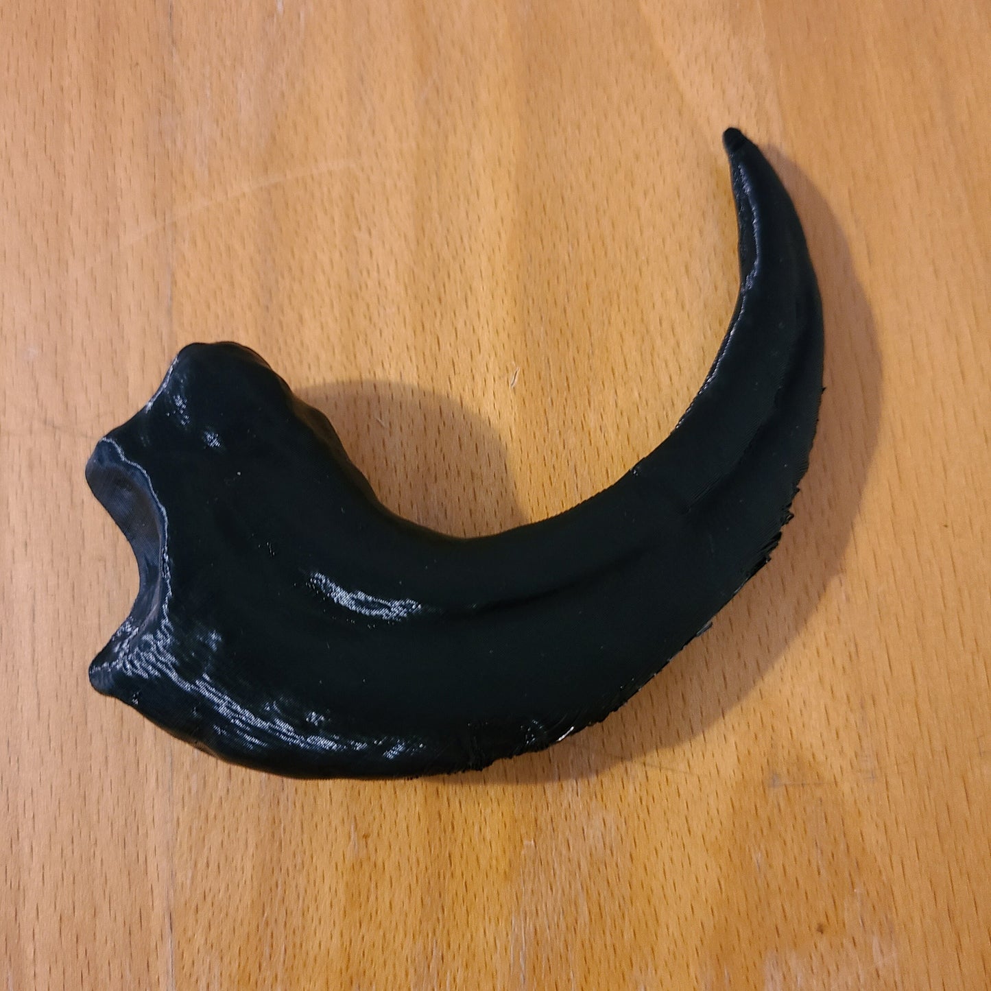 Velociraptor claw