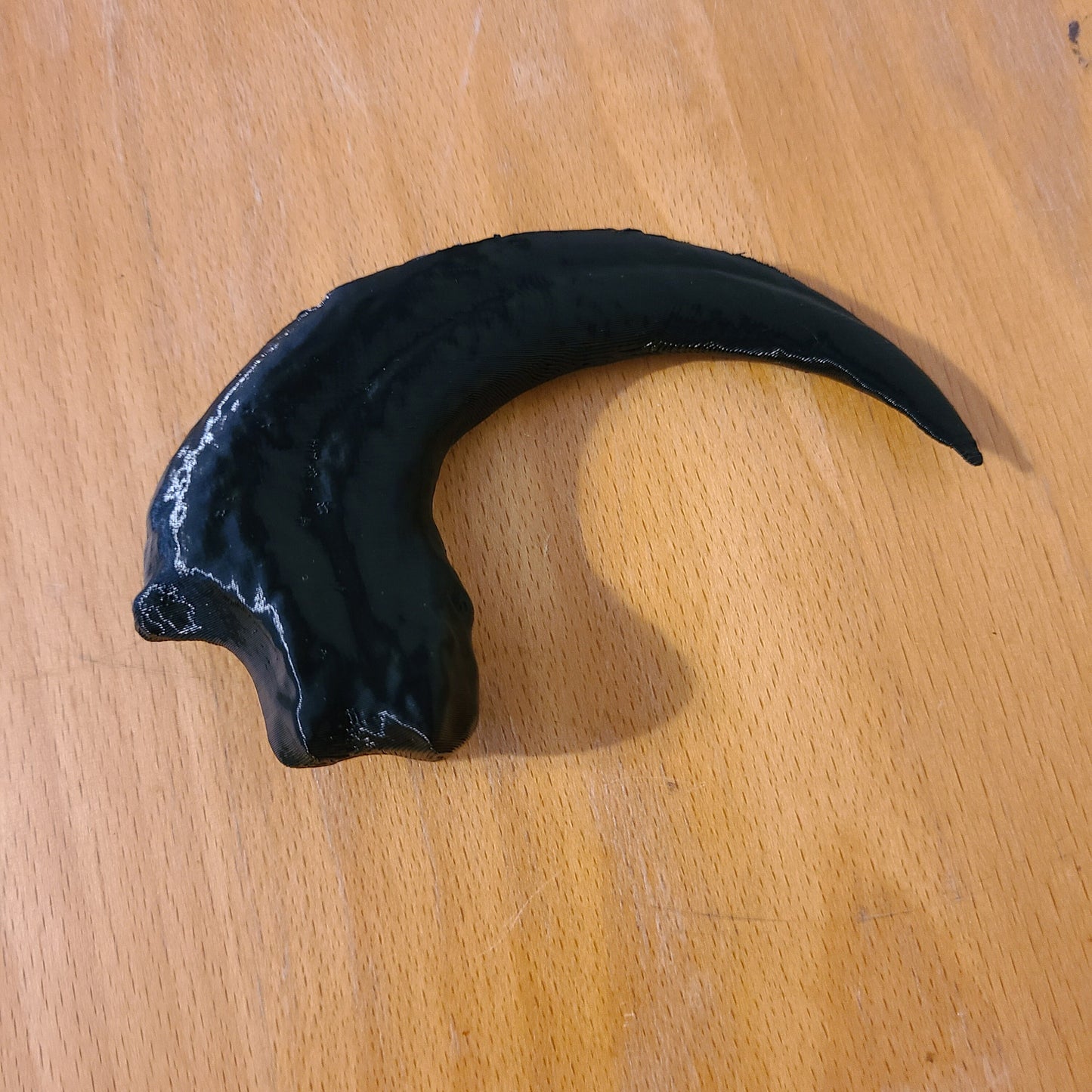 Velociraptor claw